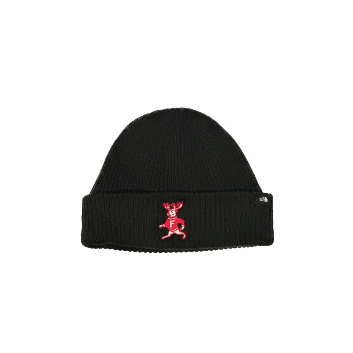 Lil' Stag Beanie | North Face